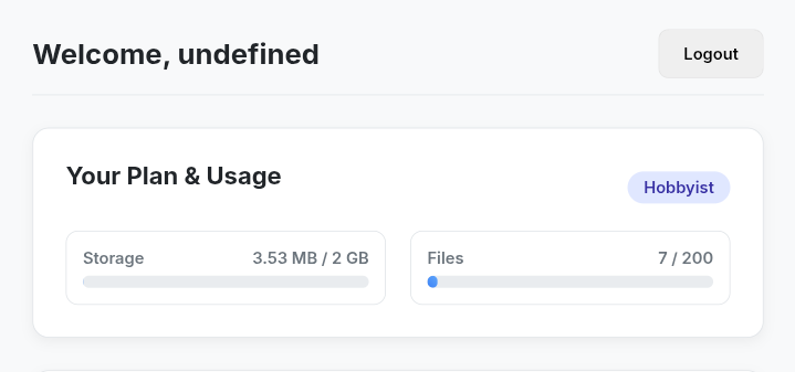 API Usage and Plan Statistics